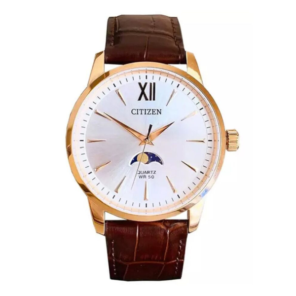 Citizen Moon Phase AK5003-05A