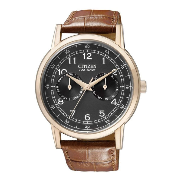 Citizen Eco-Drive Multi Function Day & Date AO9003-08E